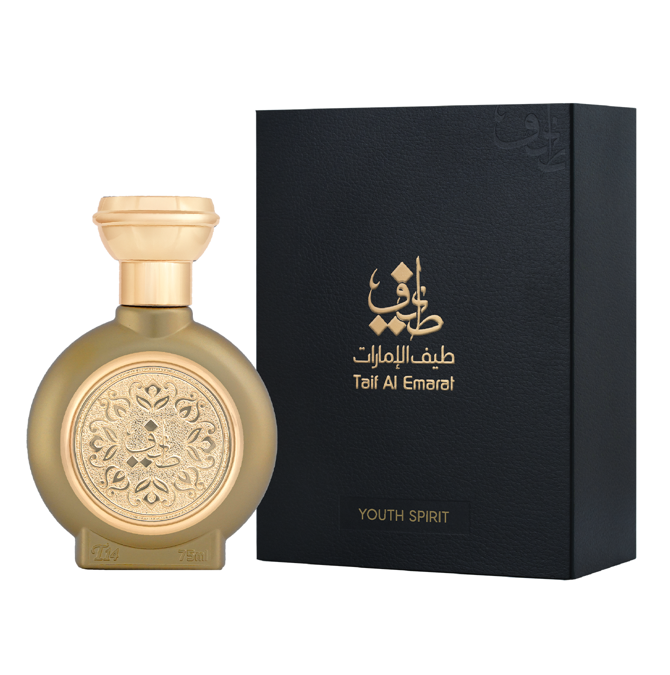 TAIF 14